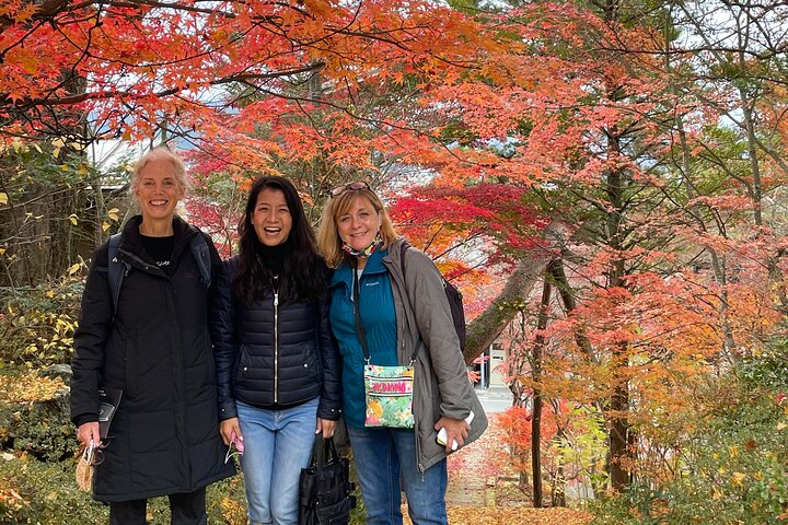 Takayama Customized Half-Day Tour with Licensed Local Guide