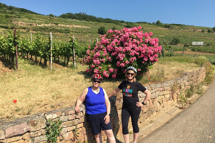 Through Alsace Vineyards and Wine Villages Private Bike Tour