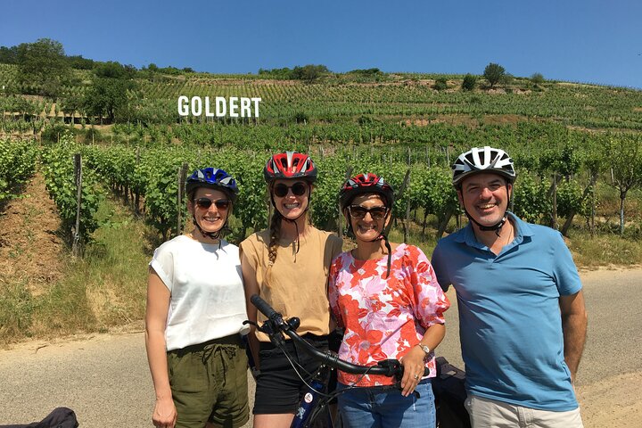 Through Alsace Vineyards and Wine Villages Private Bike Tour