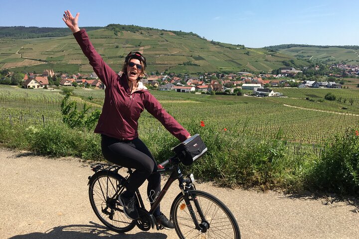 Through Alsace Vineyards and Wine Villages Private Bike Tour