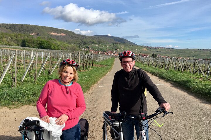 Through Alsace Vineyards and Wine Villages Private Bike Tour
