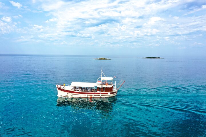 Dolphin Watching around Poreč Riviera with Boat Trip
