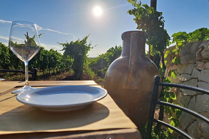 Dinner in the vineyard with wine tasting and walk