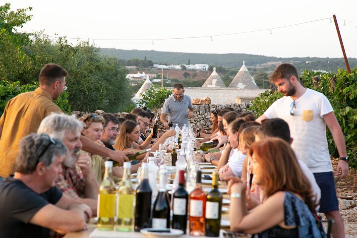 Dinner in the vineyard with wine tasting and walk