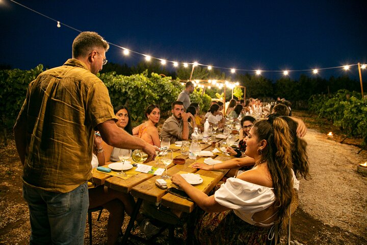 Dinner in the vineyard with wine tasting and walk