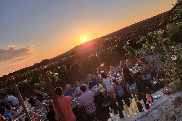Dinner in the vineyard with wine tasting and walk