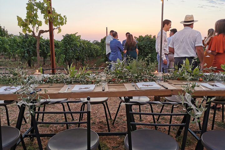 Dinner in the vineyard with wine tasting and walk