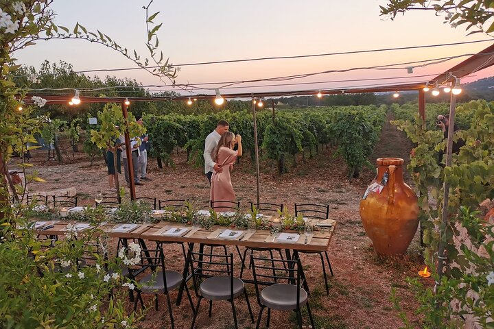 Dinner in the vineyard with wine tasting and walk