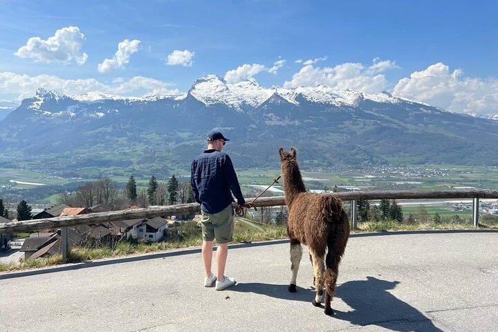 Llama hike through the wonderful Liechtenstein mountains