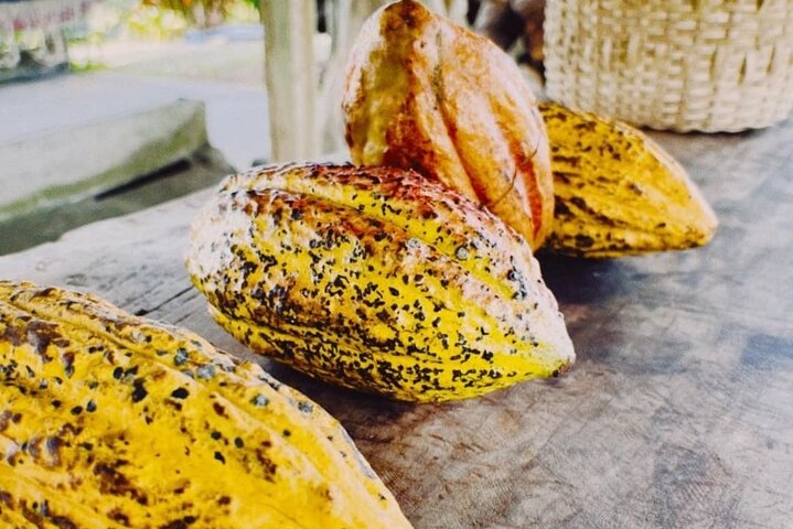 Cultural: Coffee & Chocolate Tour+Wildlife Trail+Waterfall Swim