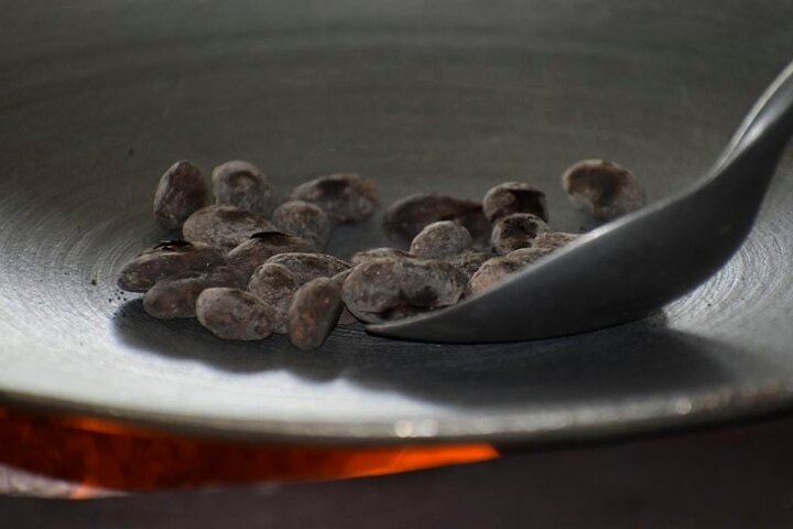Cultural: Coffee & Chocolate Tour+Wildlife Trail+Waterfall Swim