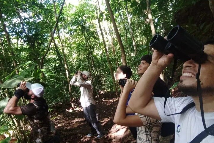 Cultural: Coffee & Chocolate Tour+Wildlife Trail+Waterfall Swim