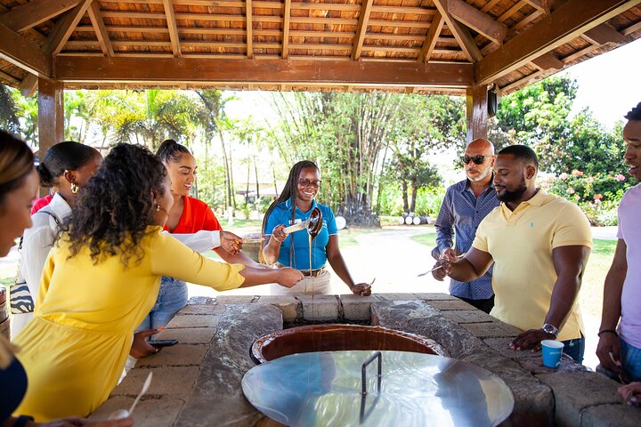 Appleton Estate YS Falls & Black River from Montego Bay or Negril