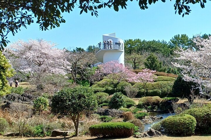 Jeju your way (private tour )