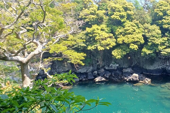 Jeju your way (private tour )
