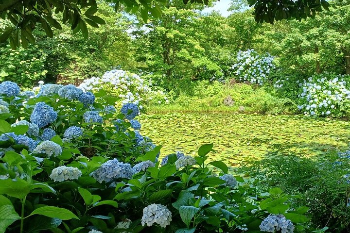 Jeju your way (private tour )