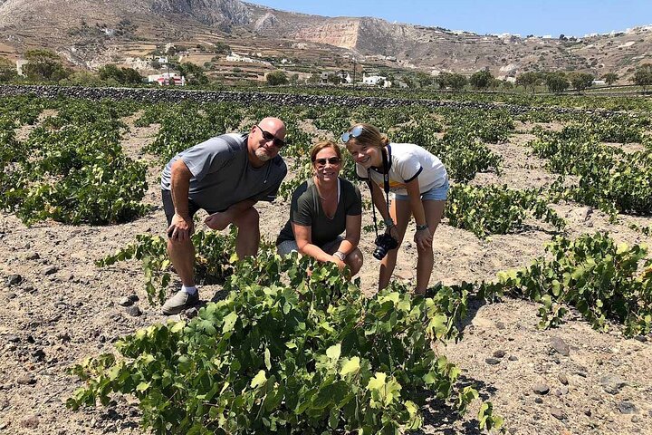 Santorini Wine Adventure with 12 Wine Tastings, Tapas and Sunset