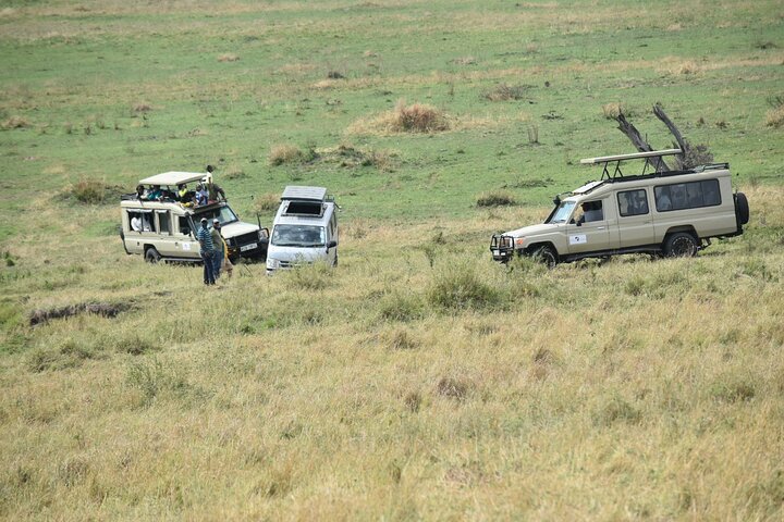 Private game drive safari Tour in Maasai Mara