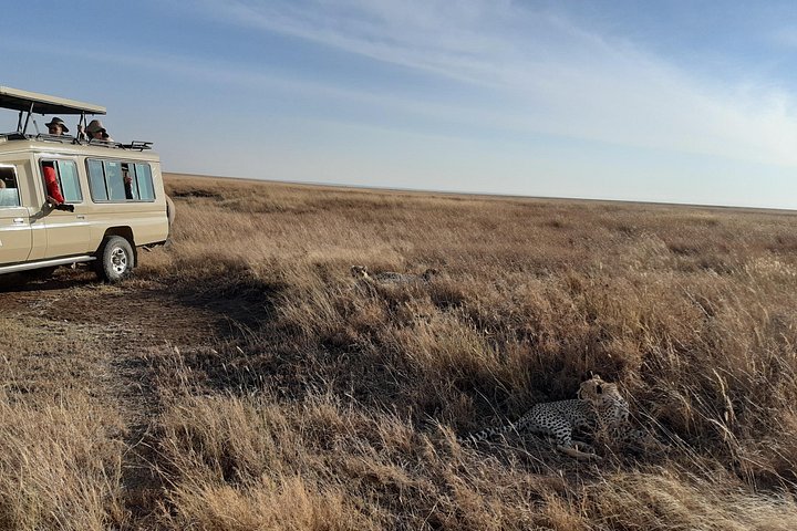 Private Game Drive in Maasai Mara