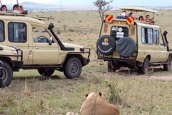 Private Game Drive in Maasai Mara