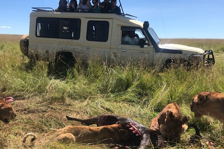 Private Game Drive in Maasai Mara