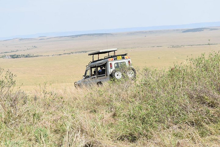 Private Game Drive in Maasai Mara