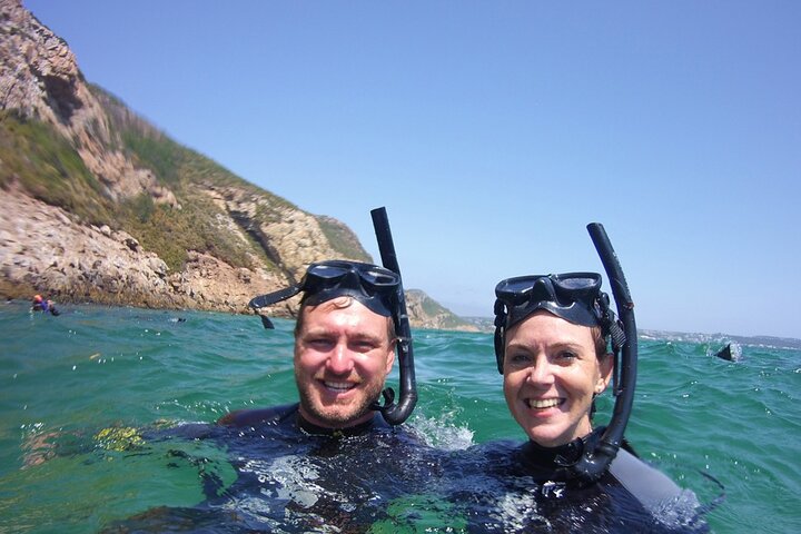 Seal Viewing Boat Trip in Plettenberg Bay