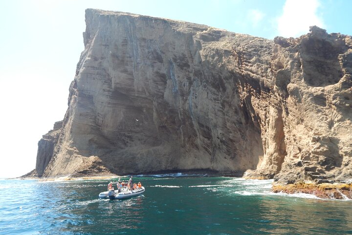 Terceira Island: Snorkeling Wildlife | Protected Areas
