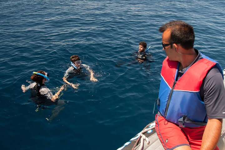 Terceira Island: Snorkeling Wildlife | Protected Areas