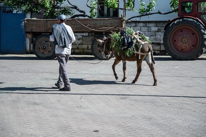Tour Around the Lake Albania from Ohrid