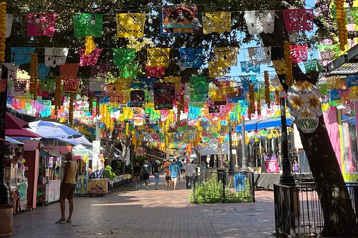 San Antonio Hop-On Hop-Off Trolley Tour