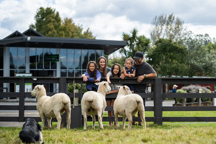 Agrodome Farm Experience including Farm Show and Farm Tour - Rotorua