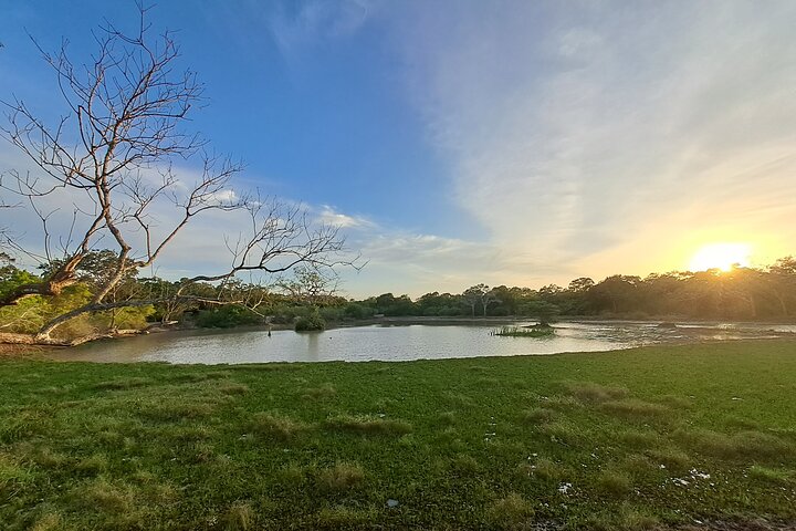 Wilpattu National Park Guided Tour in a Safari Jeep Ride