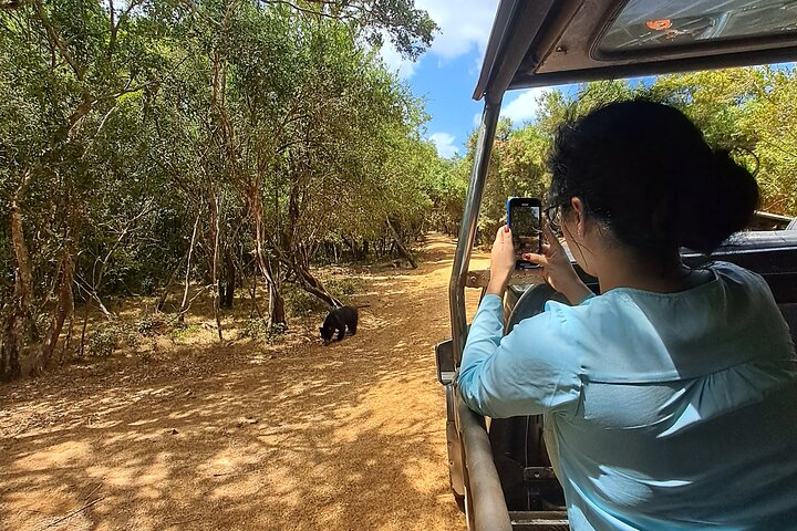 Wilpattu National Park Guided Tour in a Safari Jeep Ride