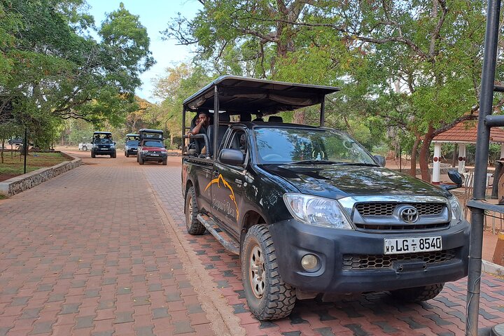 Wilpattu National Park Guided Tour in a Safari Jeep Ride