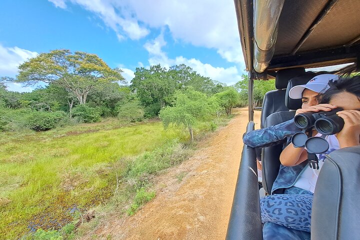 Wilpattu National Park Guided Tour in a Safari Jeep Ride