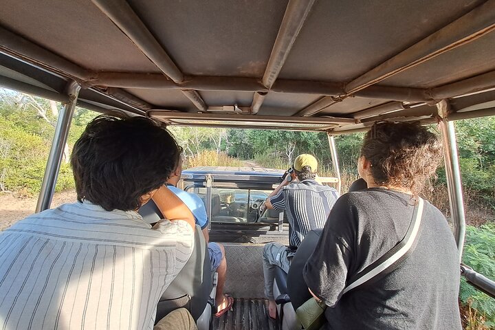 Wilpattu National Park Guided Tour in a Safari Jeep Ride