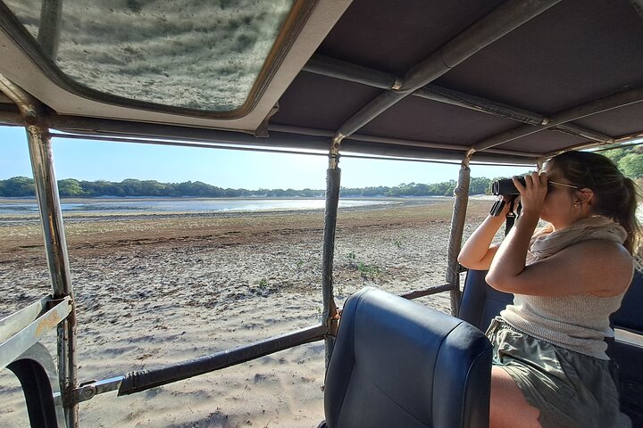 Wilpattu National Park Guided Tour in a Safari Jeep Ride