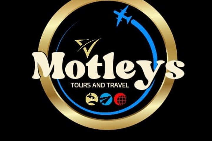 Half Day Lion and Safari Park Tour