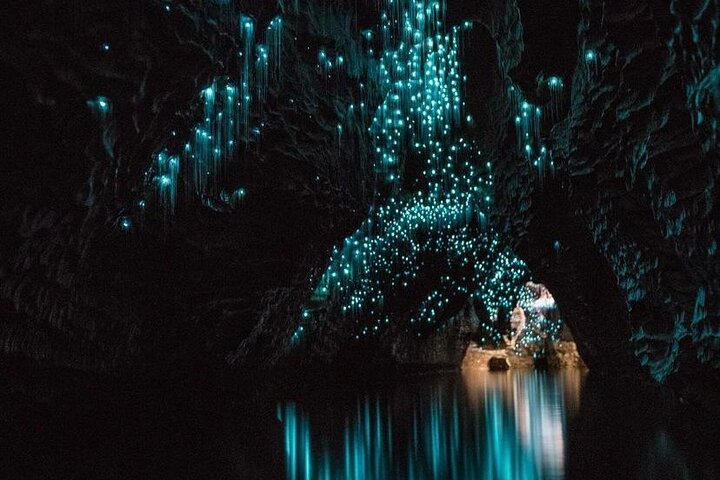 Auckland to Waitomo Glowworms, Kiwi House & Blue Springs Day Tour