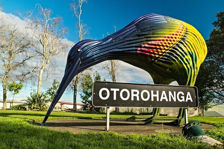 Auckland to Waitomo Glowworms, Kiwi House & Blue Springs Day Tour