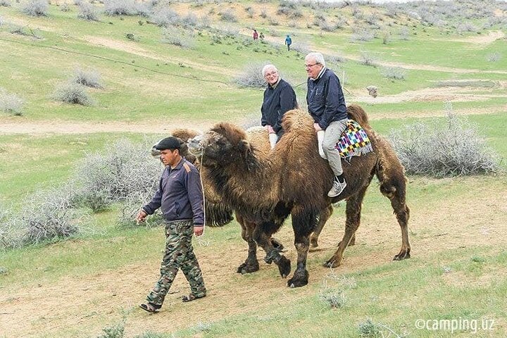 2 Days of Tour in Yurt Camp and Aydarkul All-Inclusive