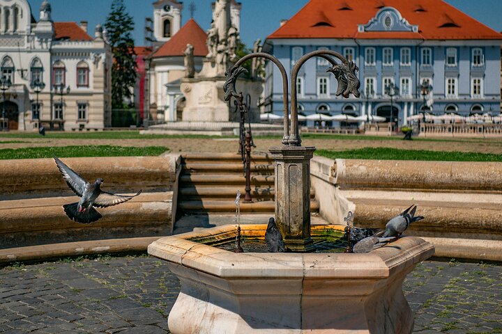 Timişoara: Private Walking Tour with Local Guide