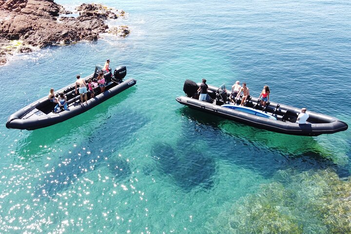 Sea excursion - Estérel Massif by boat