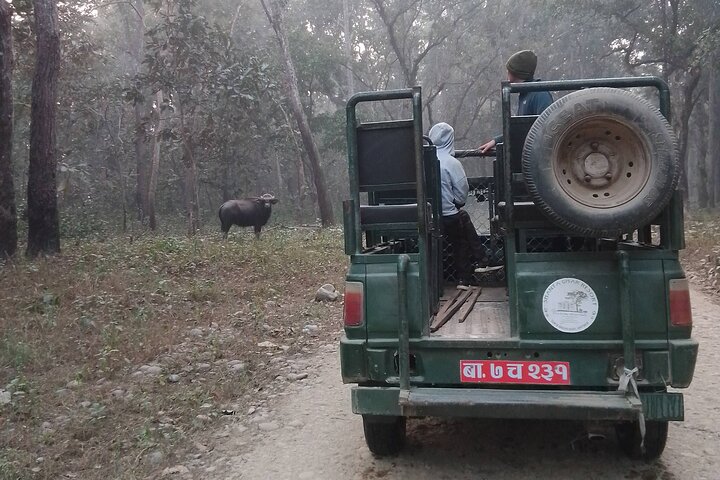 Chitwan National Park PVT. Jeep Safari untouched Side from Madi