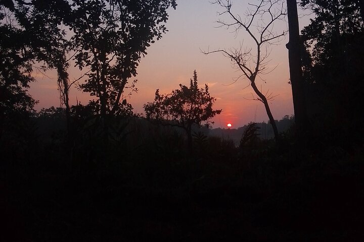 Chitwan National Park PVT. Jeep Safari untouched Side from Madi