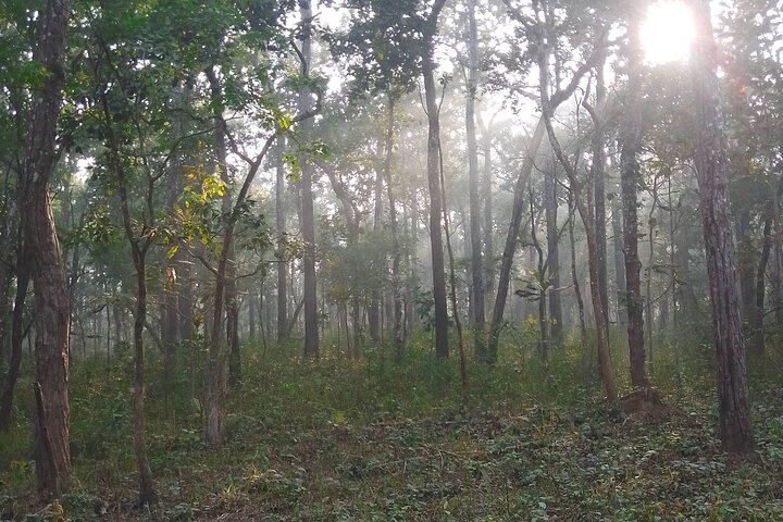 Chitwan National Park PVT. Jeep Safari untouched Side from Madi
