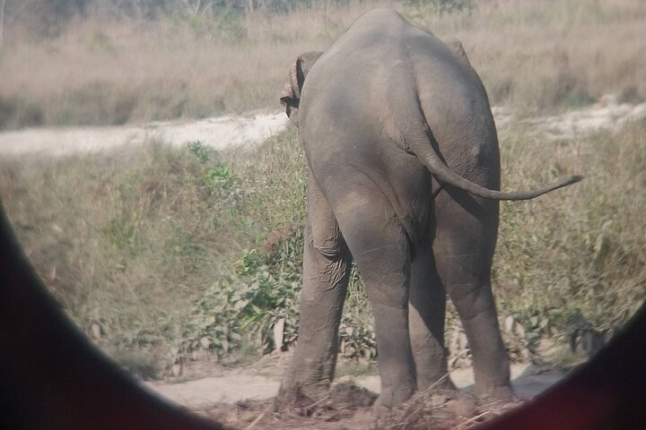 Chitwan National Park PVT. Jeep Safari untouched Side from Madi