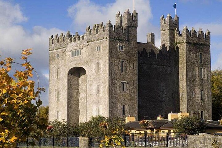 Private Cliffs of Moher Tour Small Group from Adare Limerick Area