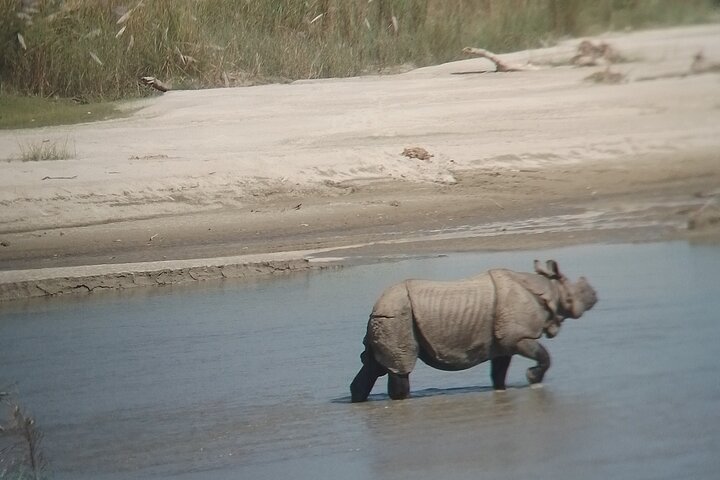 Chitwan National Park PVT. Jeep Safari untouched Side from Madi